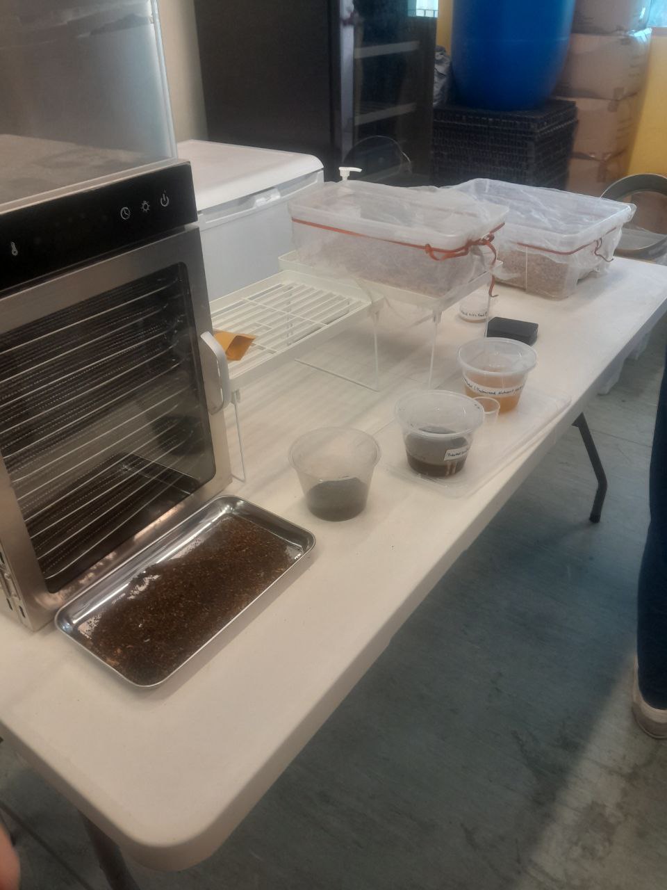 BugBoom's experimental workspace with equipment and samples